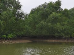 -东寨港红树林旅游区