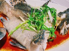 清蒸红眉鱼-强记海鲜·大排档(蛇口新街店)