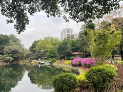 -晓港公园