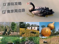 -溱湖国家湿地公园