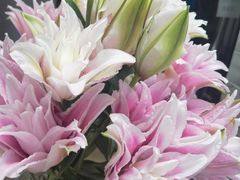 -植物学家的女儿(北马道巷店)