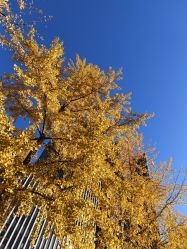 -Oasis Beauty水磨坊科技美肤中心