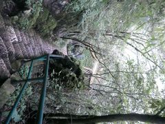 -昆明滇池国家级风景名胜区西山景区