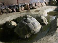 -太原动物园