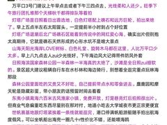 -日照海滨国家森林公园
