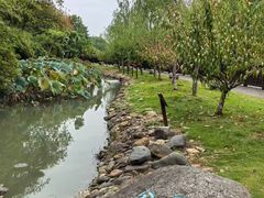 -八大山人梅湖景区