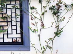 -杭州西湖柳莺里酒店·闻莺厅