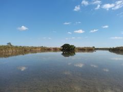 -盐城丹顶鹤湿地生态旅游区