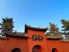 -洛阳白马寺