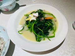 上汤菠菜-维园悦谱·海派家常菜(乌鲁木齐南路店)