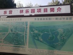 -东营·森林乐园