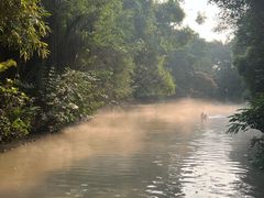 -广州长隆飞鸟乐园
