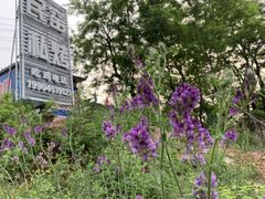门面-唯一小店家常菜·兄弟餐厅
