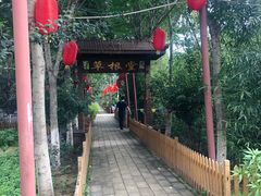 -草根堂农场