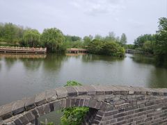 -溱湖国家湿地公园