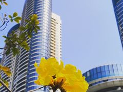 -洲头咀公园
