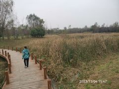-淇河国家湿地公园