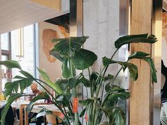 -刀叉遇上筷子中西融合餐厅(南开店)
