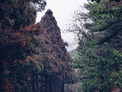 -庐山风景名胜区