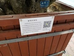 -燕莎友谊商城(亮马桥店)