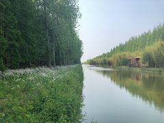 -黄海国家森林公园