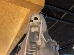 -长藤鬼校(龙翔店)