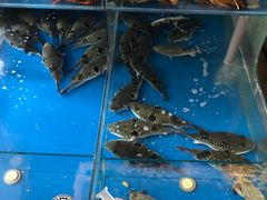 -大唐名家·息壤店