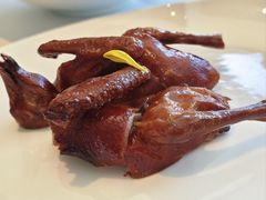 红烧乳鸽-顺峰(农展馆店)