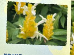 -广州花园酒店-凌璇阁360度高空海鲜自助餐CAROUSEL