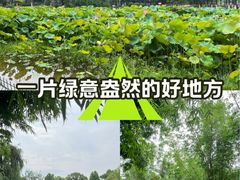 -金银湖国家城市湿地公园