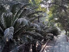 -重庆平顶山公园