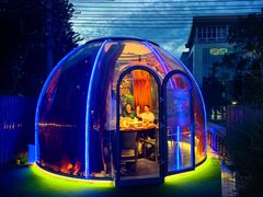 -羊门客在·烤盐池滩羊·川菜