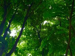 -眉山湿地公园(东坡区)