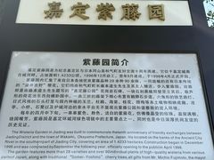 -嘉定紫藤园