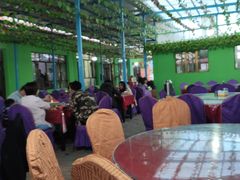 大堂-马白开来特色羊排揪片子  (总店)