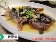 白烧鮰鱼-江海渔港(姚港路店)