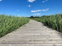 -野鸭湖国家湿地公园