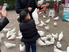 -国色天乡三期陆地乐园
