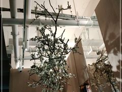 -梅花境(万科店)