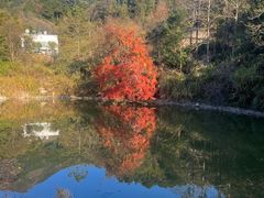 -南岳衡山风景名胜区-南岳大庙