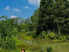 -桤木河湿地公园