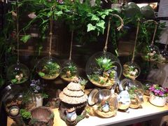 iphone_upload_pic-酷乐潮玩(城西银泰城店)
