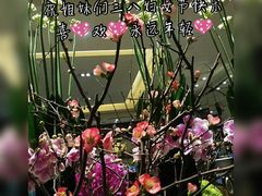 -上海西藏大厦万怡自助餐厅(徐汇店)