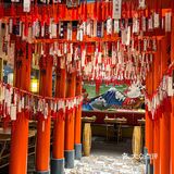 武汉首家三文鱼寿司甜甜圈 日料 🍣