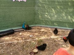 -莆田亚特湾水上乐园(原水上欢乐谷)