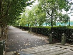 -华东政法大学(松江校区)