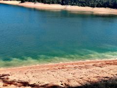 -广州市流溪河国家森林公园