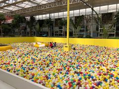 -南宫五洲植物乐园