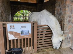 -珠海海泉湾神秘岛亲子乐园