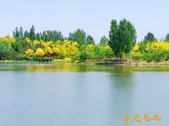 -东郊湿地公园